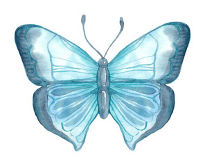 Watercolor illustration. Blue butterfly. Fantasy watercolour, great design for any purposes. Colorful fantasy wallpaper.