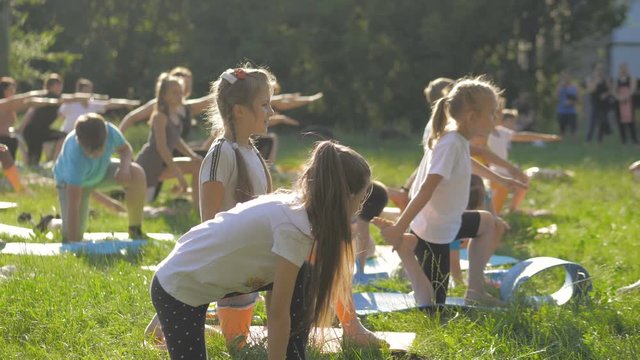 A large group of children engaged in yoga in the Park sitting on the grass