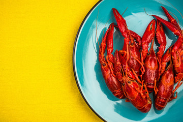Red Crayfish or Lobster on Colorful Background