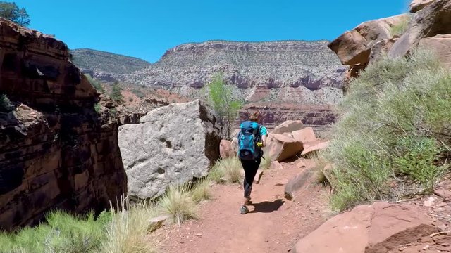 Woman hiking in Grand Canyon. Healthy active lifestyle image of hiking young multiracial female hiker in Grand Canyon, Adventure and travel concept. Women hiking in USA national park.