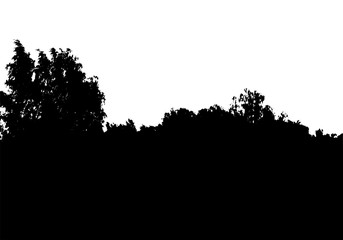 Black tree forest panorama silhouette. Card with copy space. Isolated on white background. Vector nature illustration