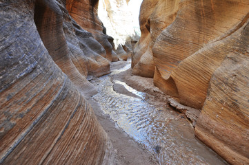 willis creek slot canyon in utah