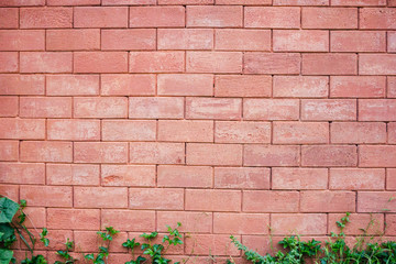 brick wall background old texture vintage bricks