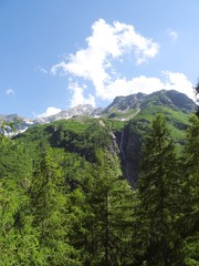 The Alps with its woods and glaciers near Monte Rosa and the town of Macugnaga, Italy - July 2019.