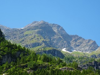 Fototapeta na wymiar The Alps with its woods and glaciers near Monte Rosa and the town of Macugnaga, Italy - July 2019.