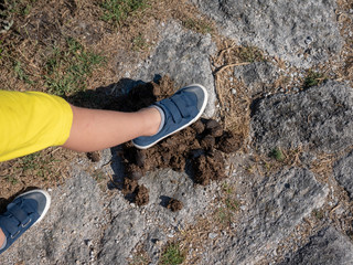 boy's feet about to step on a horse poo