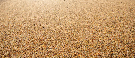 Sand background