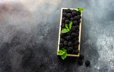 Organic food concept