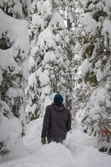 Snowy Hikes