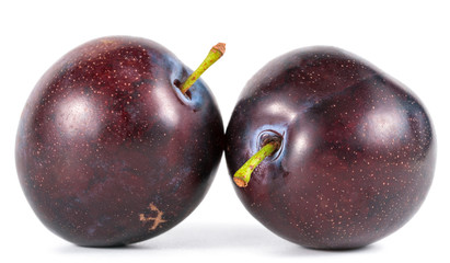 .plums on a white background