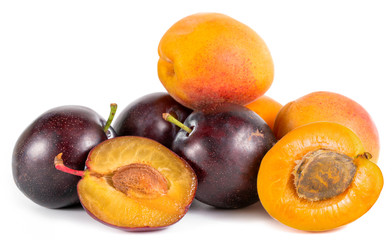 plums and apricots on a white background