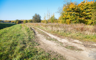 Fototapeta na wymiar old dirt road in a field