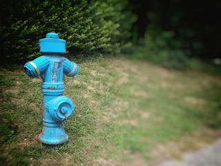 Old Hydrant in the park.