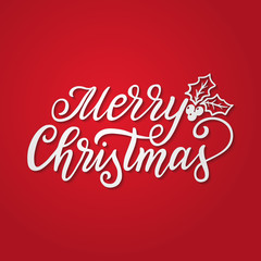 Merry Christmas text. Vector typography