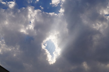 Fototapeta premium Rays of the sun
