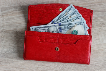 one hundred dollars, purse, women's wallet, money, cash, banknote, green, 100,
