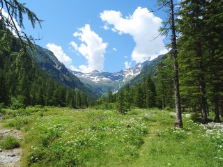 The view of the Alps of the Quarazza valley, near the town of Macugnaga, Italy - July 2019.