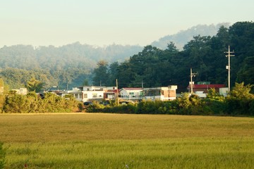 가을 한국의 농촌