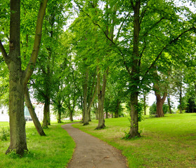 way in the park