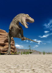 Fototapeta premium t rex the strongest dinosaur is angry in the sand and stone with the camera on the flor