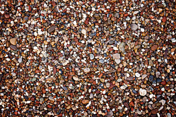 Wet multi-colored pebbles on the seashore