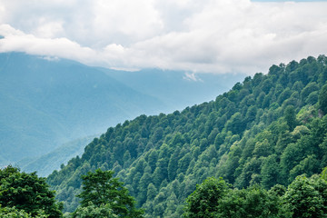 View of the valley surrounded by green mountains in a cloudy sky