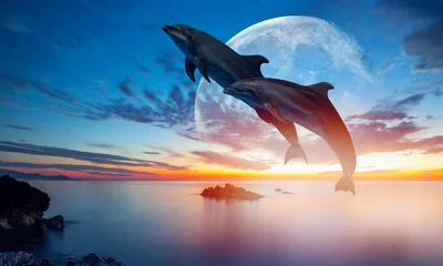Fototapeten Silhouette eines schönen Delfins, der bei Sonnenuntergang mit Supermond aus dem Meer springt &quot Elemente dieses von der NASA bereitgestellten Bildes&quot  © muratart