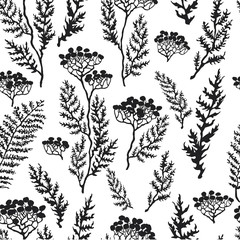 Vector seamless background with hand drawn illustration of herbs, or plants black on white field. Can be used for wallpaper, pattern fills, web page, surface textures, textile print, wrapping paper