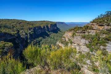 Fototapeta na wymiar hiking to norths lookout, blue mountains national park, australia 3