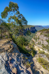 Fototapeta na wymiar hiking to norths lookout, blue mountains national park, australia 15