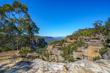 Fototapeta na wymiar hiking to norths lookout, blue mountains national park, australia 12