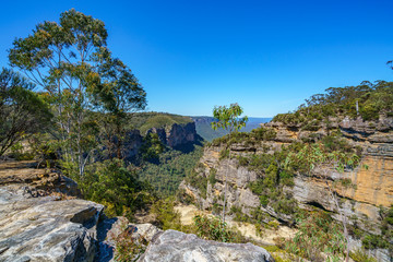 Fototapeta na wymiar hiking to norths lookout, blue mountains national park, australia 18