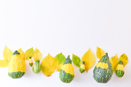 Flat lay composition with colorful autumn leaves and pumpkins on a white background