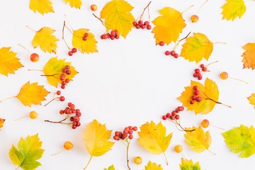 Flat lay frame with colorful autumn leaves and berries on a white background
