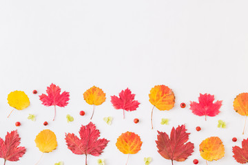 Obraz premium Flat lay border with colorful autumn leaves and berries on a white background
