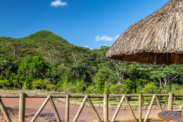 Sunshade at seven coloured earth (sandstone formation with seven colours) on Mauritius island, Chamarel, Indian ocean