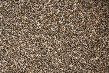 Chia Seeds 1