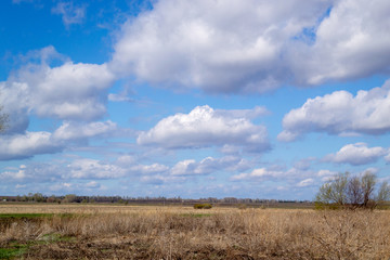 Massive white cumulus clouds in the blue sky