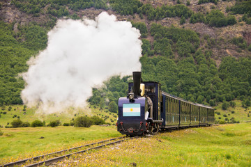 Fototapeta na wymiar old narrow gauge steam tourist train