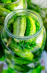 cucumbers in banks, canning process for the winter
