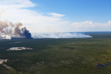 Fires in Russian forest, Transbaikal forest in fire, burning of