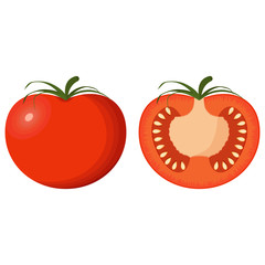 Set of two tomatoes – whole and cut – isolated on a white background. Vector illustration. - 281857554