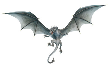 Fototapeta premium dragon