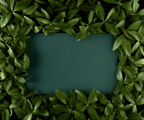 Creative layout made of flowers and leaves with paper card note. Flat lay. Nature concept