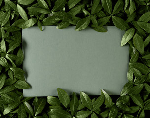 Creative layout made of flowers and leaves with paper card note. Flat lay. Nature concept