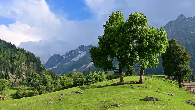 4K video of Thajiwas park infront Thajiwas glacier in Sonamarg, India