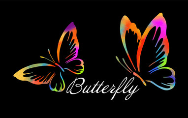 Colorful Butterfly. Multicolored abstract butterfly logo. Vector