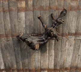 decorative knotted branch on a wooden background