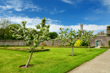 Obraz premium The towers and turrets of Ducketts Grove, a ruined 19th-century great house in County Carlow, Ireland.