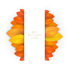 Bright and realistic yellow and orange autumn leaves bouquet  on paper. Background or flyer with seasonal leaf, realism, vector illustation, eps 10